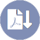 pdf document