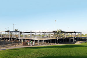 Saudi Arabian Golf Championships