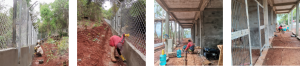 A montage of people building bear house 7, sponsored by AJN Steelstock, including walls and barriers