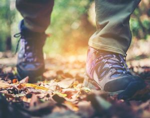 A person walking in a forest with walking shoes filling the frame