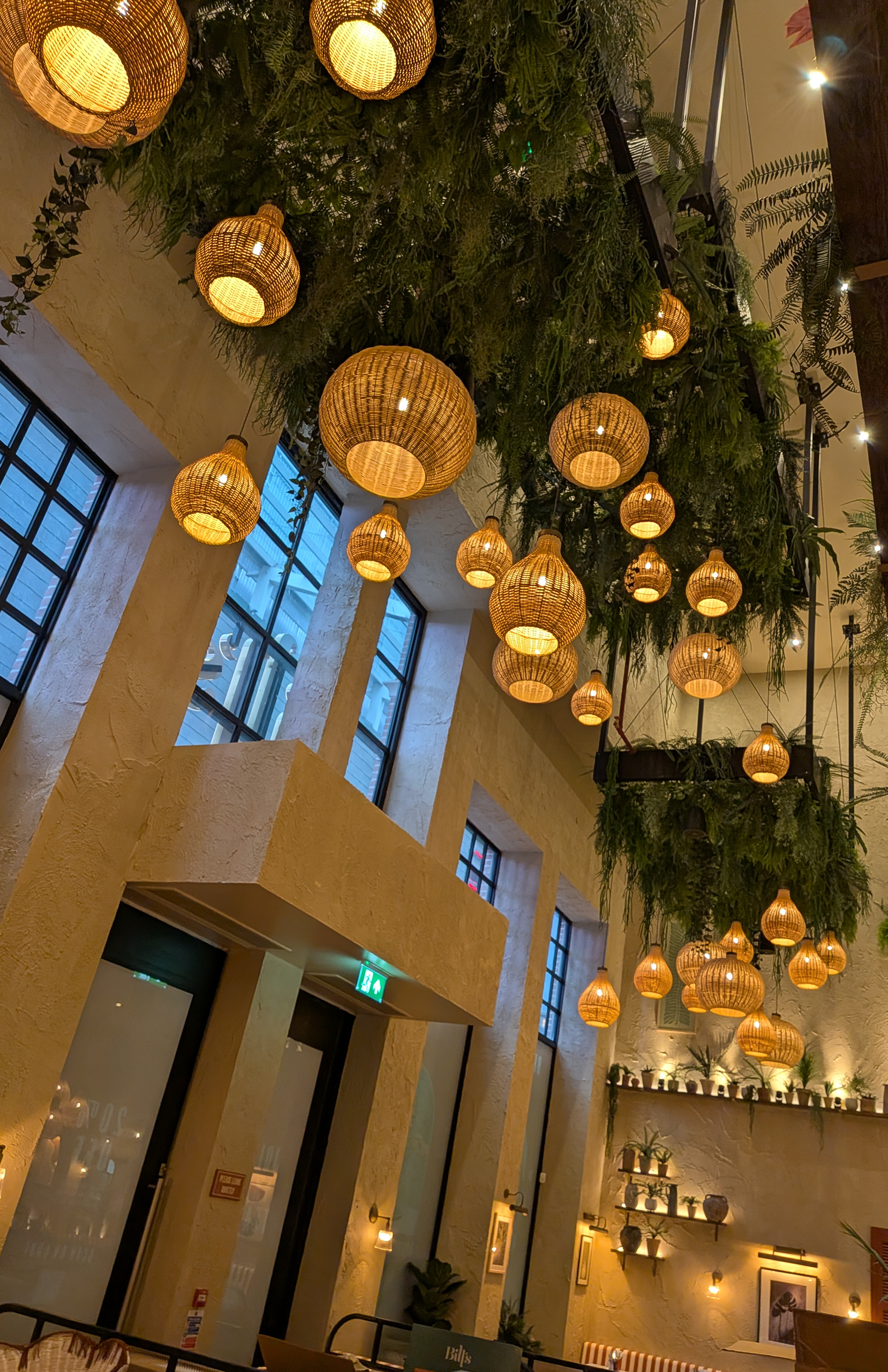 bills-restaurant-ajn-steelstock-construction-westfield-london-planters The ceiling of a Bills restaurant showing the planters and steel structure used to house them